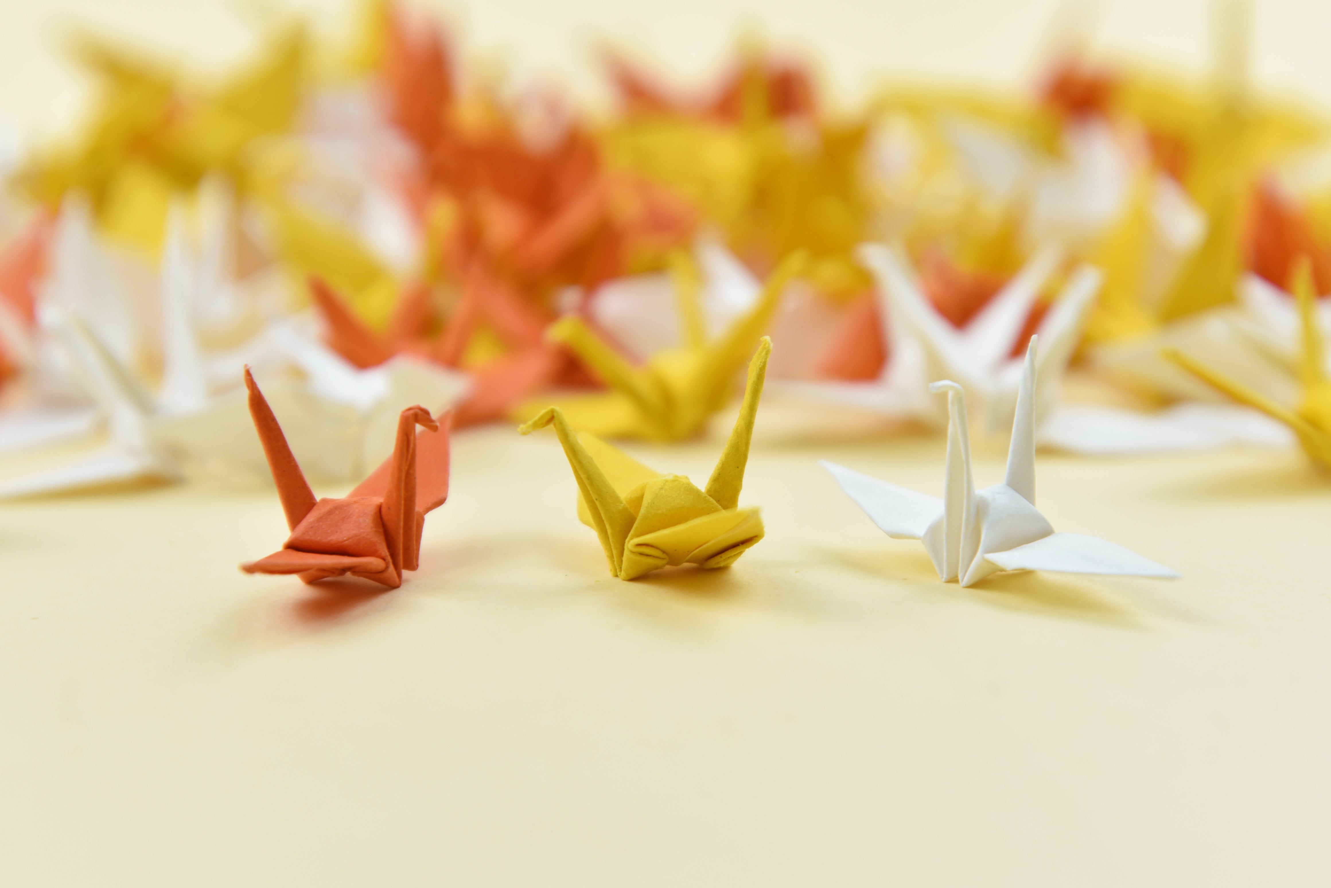 ORIGAMI PAPER CRANES MEANING Origamipolly origami-paper-cranes-meaning-origamipolly