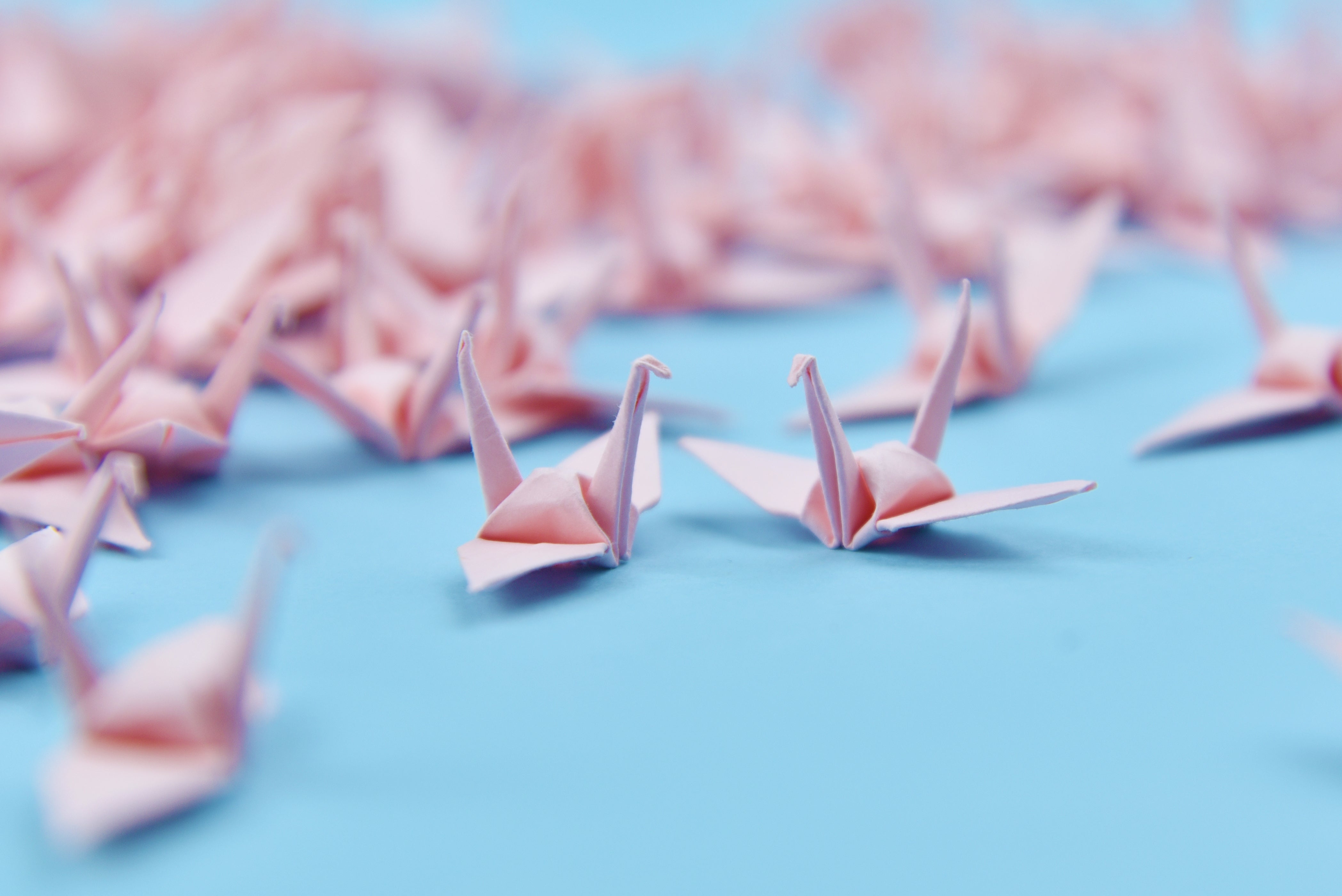 1000  Origami Paper Crane Rose Pink Small 3.81 cm (1.5 inches) Origami cranes Pre Made for Ornament, Christmas, Wedding Decor