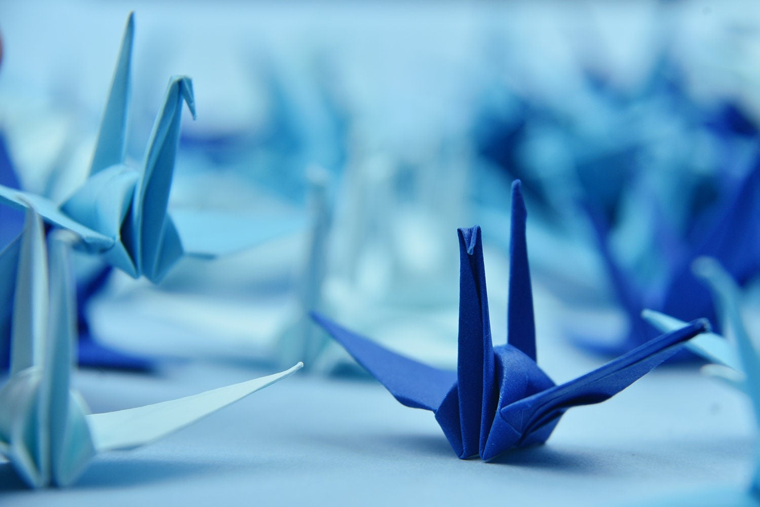 100 Navy Blue Origami Cranes 3 inch OrigamiPolly - Pre-Made for Wedding, Anniversary, Valentine's Backdrop
