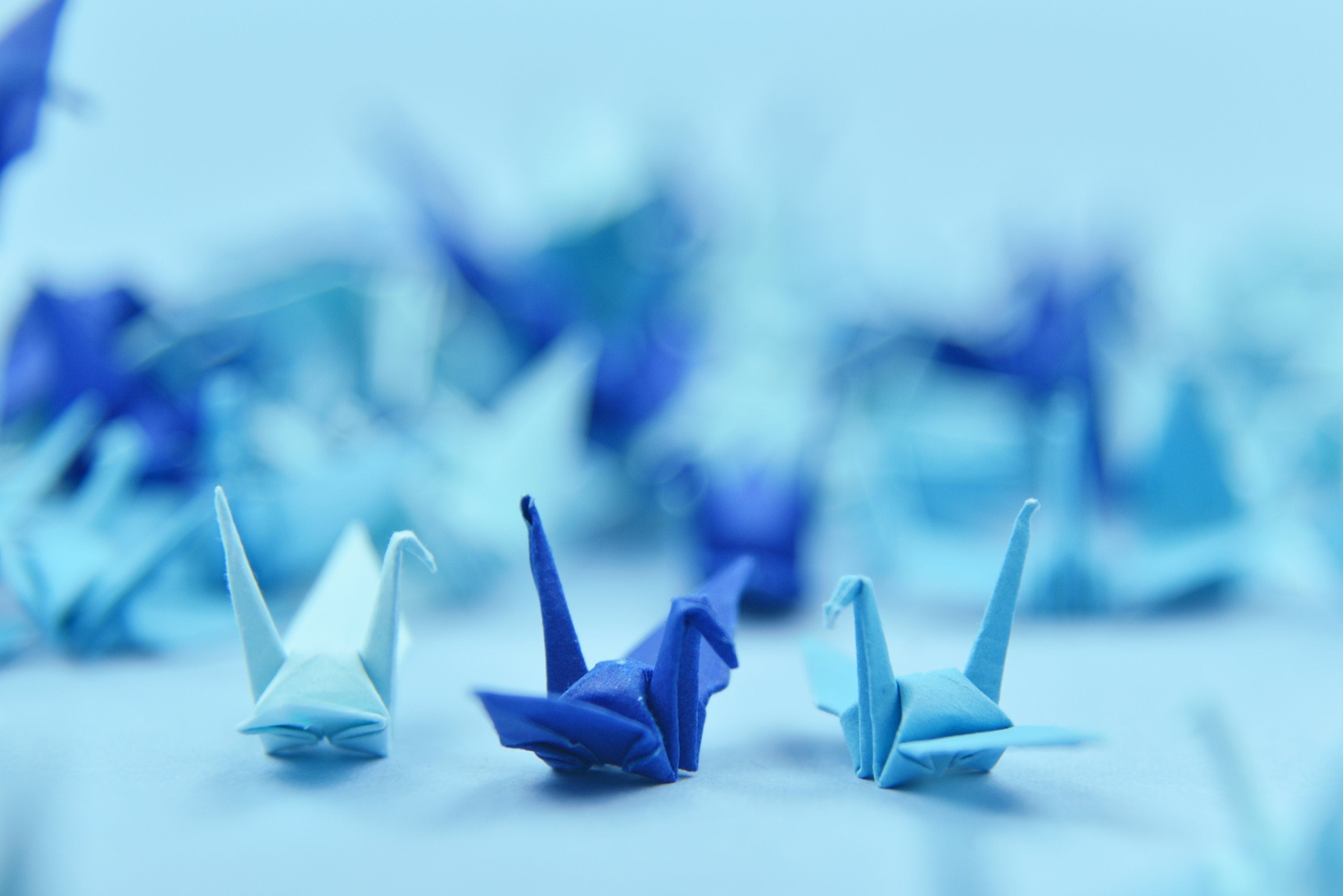 100 Grullas de papel de origami azul marino - Pequeñas de 1,5 pulgadas - Plegadas a mano para regalo de decoración de bodas