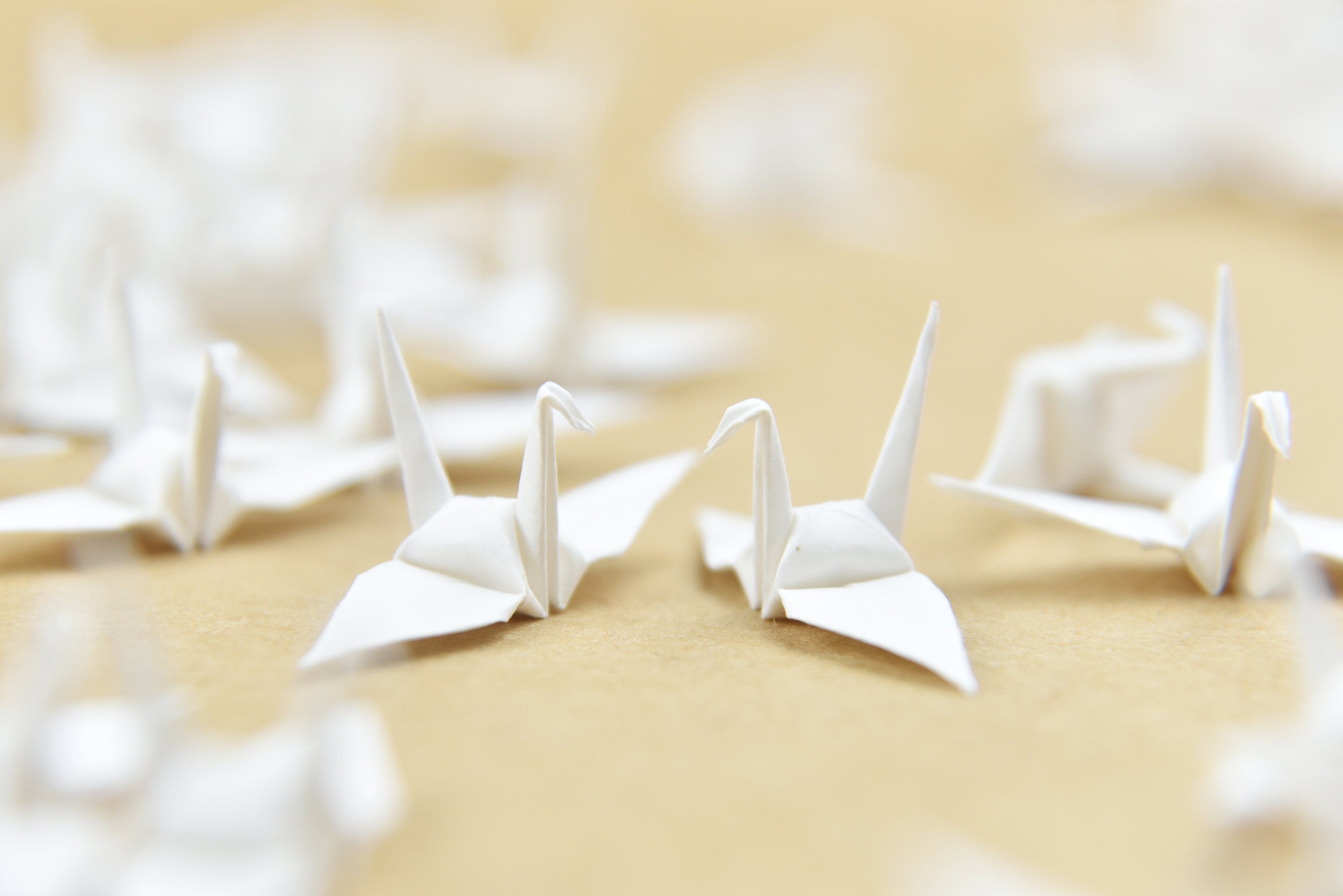 100 Grúas de Origami - Marfil -1,5 pulgadas - para decoración de bodas, regalo de aniversario, San Valentín, telón de fondo