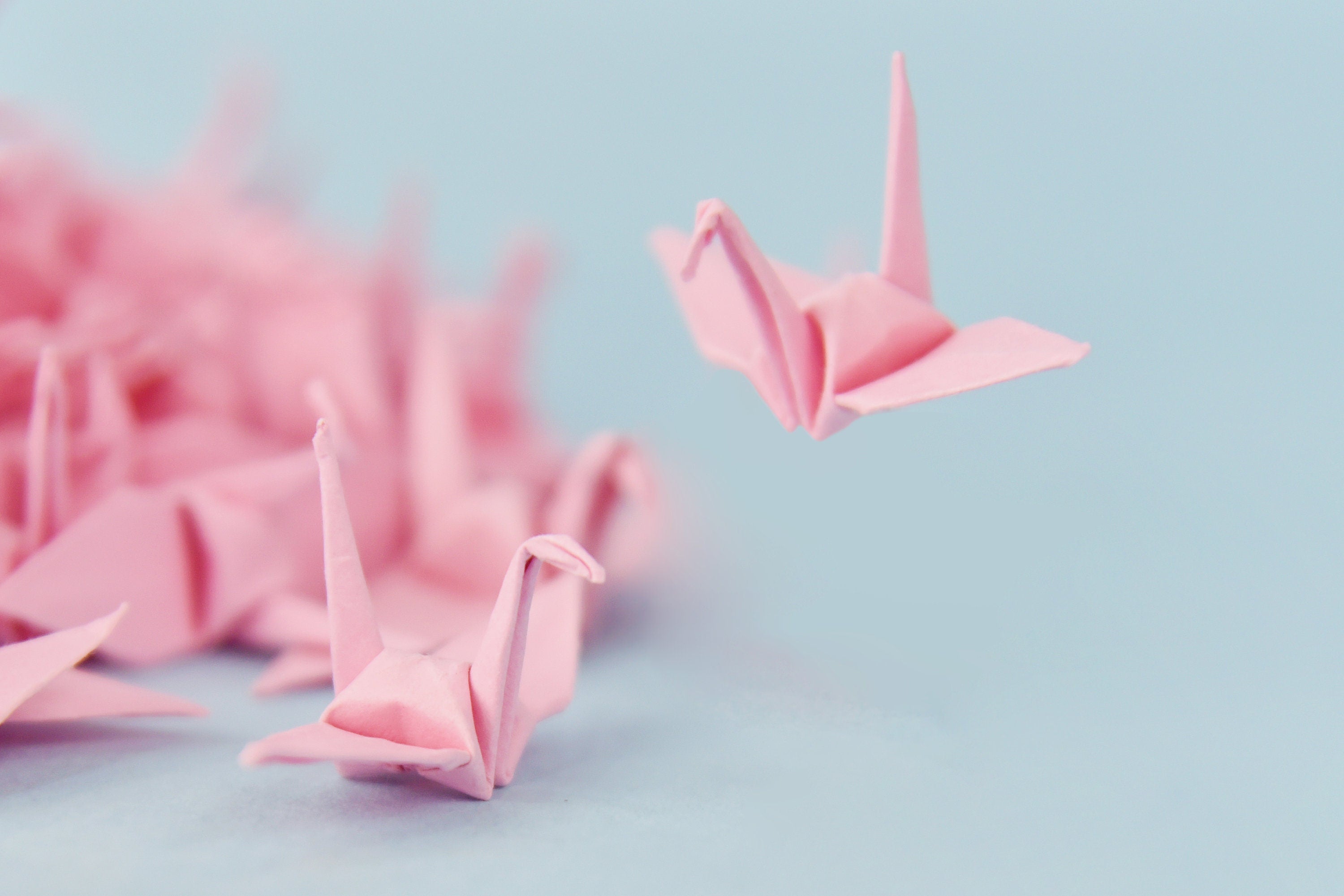 100 gru di carta origami gru origami rosa prefabbricate piccole 1,5x1,5 pollici per decorazioni di nozze, regali di anniversario, San Valentino