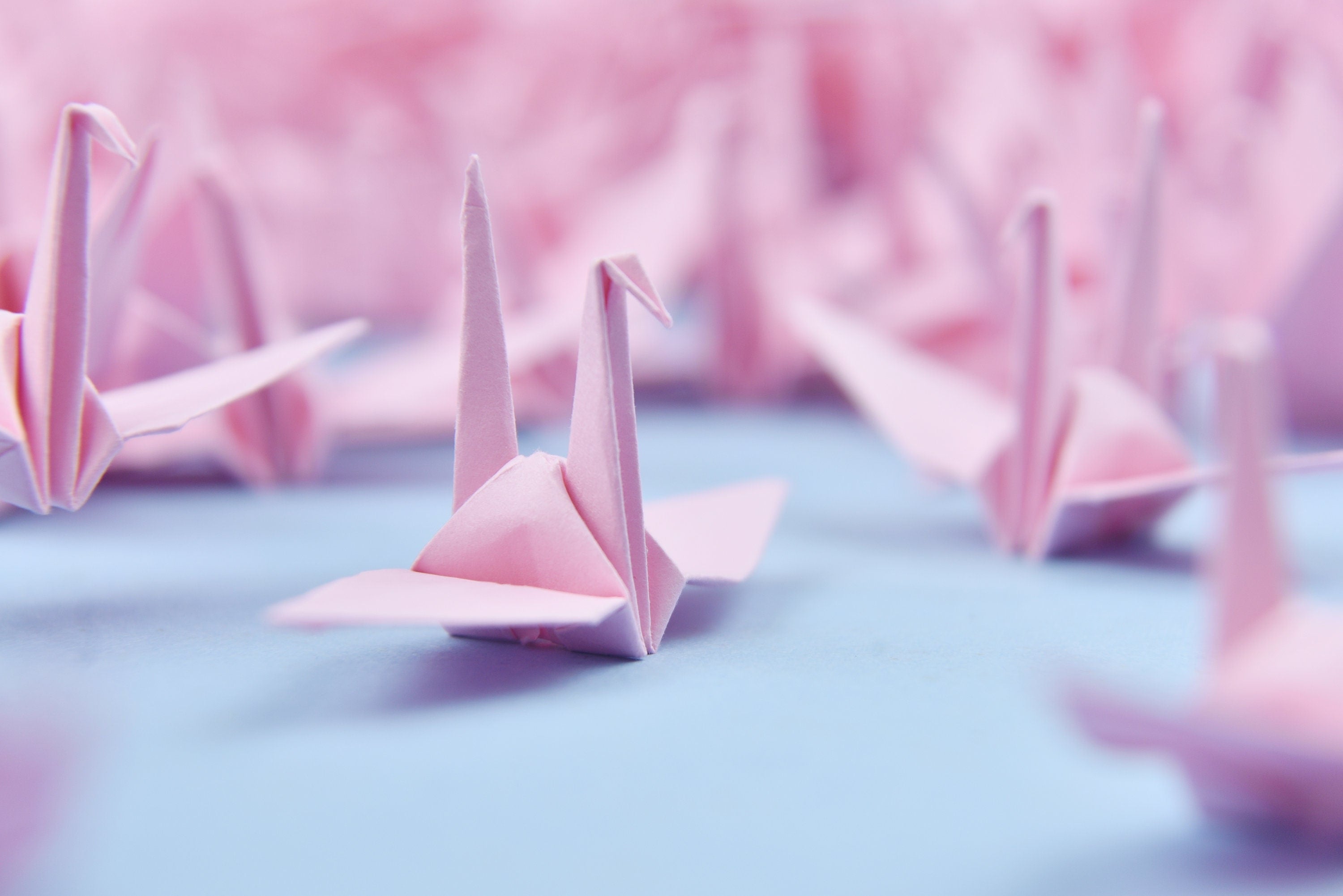Gru origami con 100 tonalità rosa - Realizzata in 7,5 cm (3x3 pollici) - per matrimonio, regalo di San Valentino, Natale