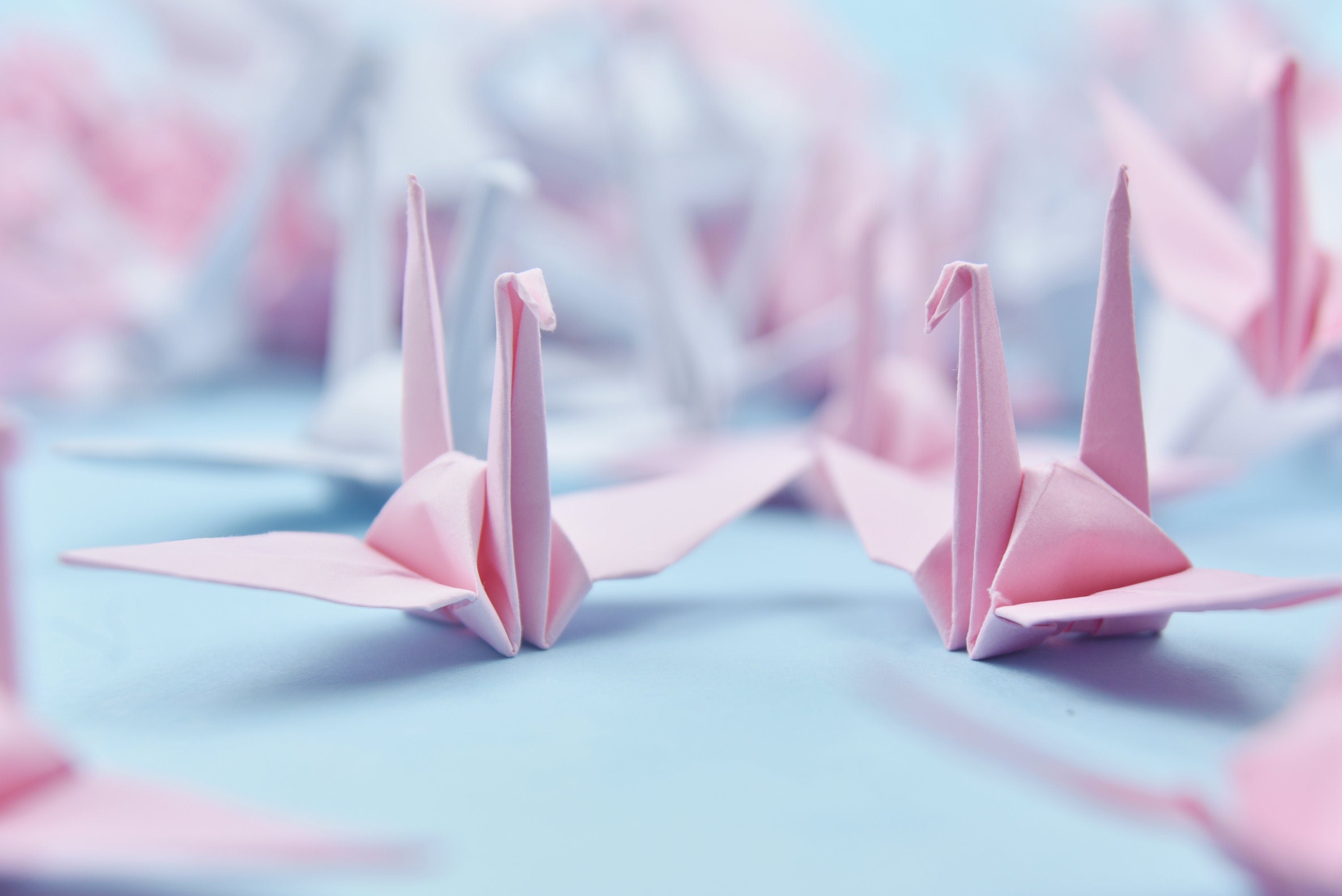 Gru di carta origami con 100 tonalità rosa - 3x3 pollici - pieghevole fatta a mano per la decorazione di nozze, matrimonio giapponese, San Valentino