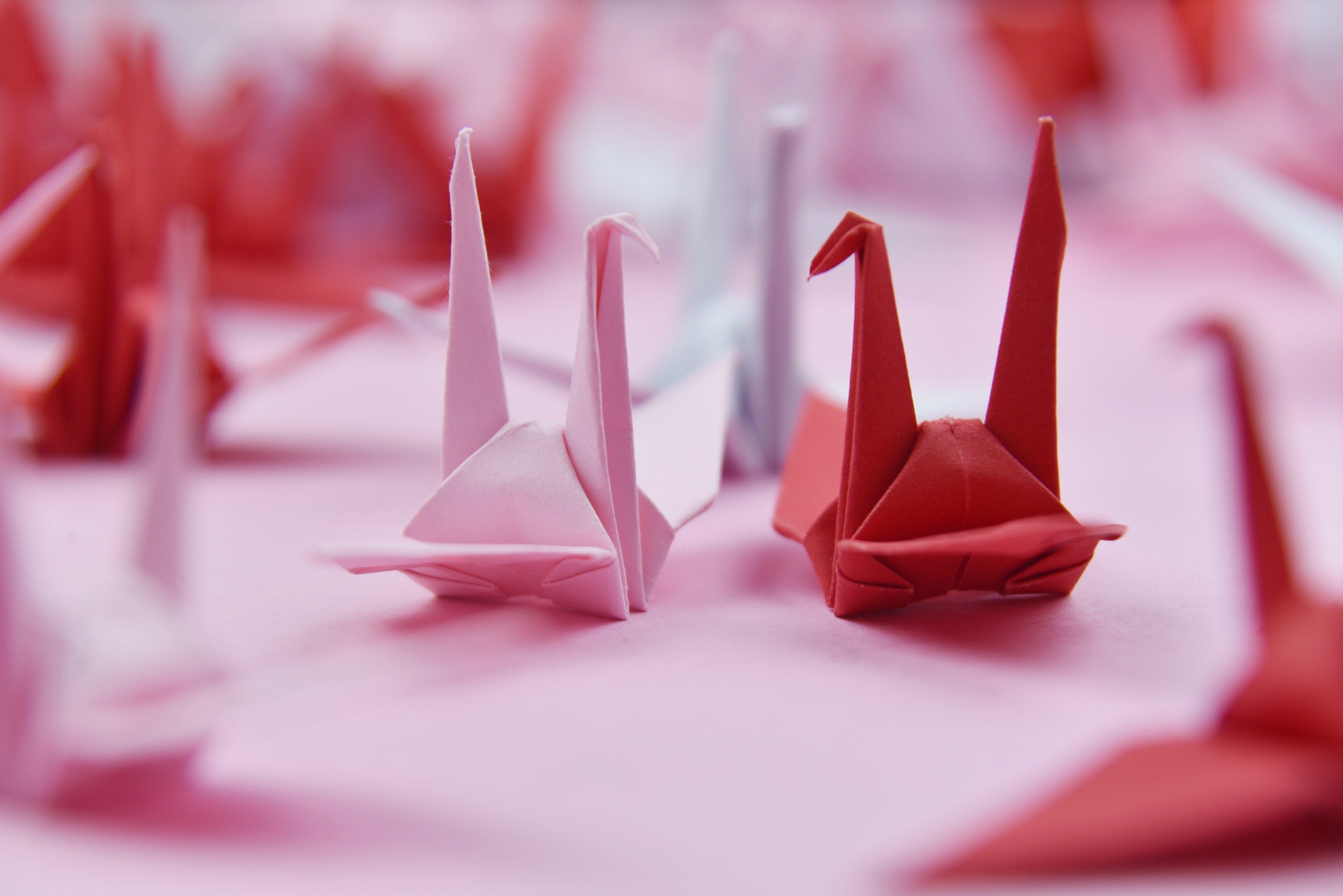 100 Grúas de papel Origami - Sombra roja rosa - 3x3 pulgadas - Plegable hecho a mano para decoración de bodas, Boda japonesa, San Valentín