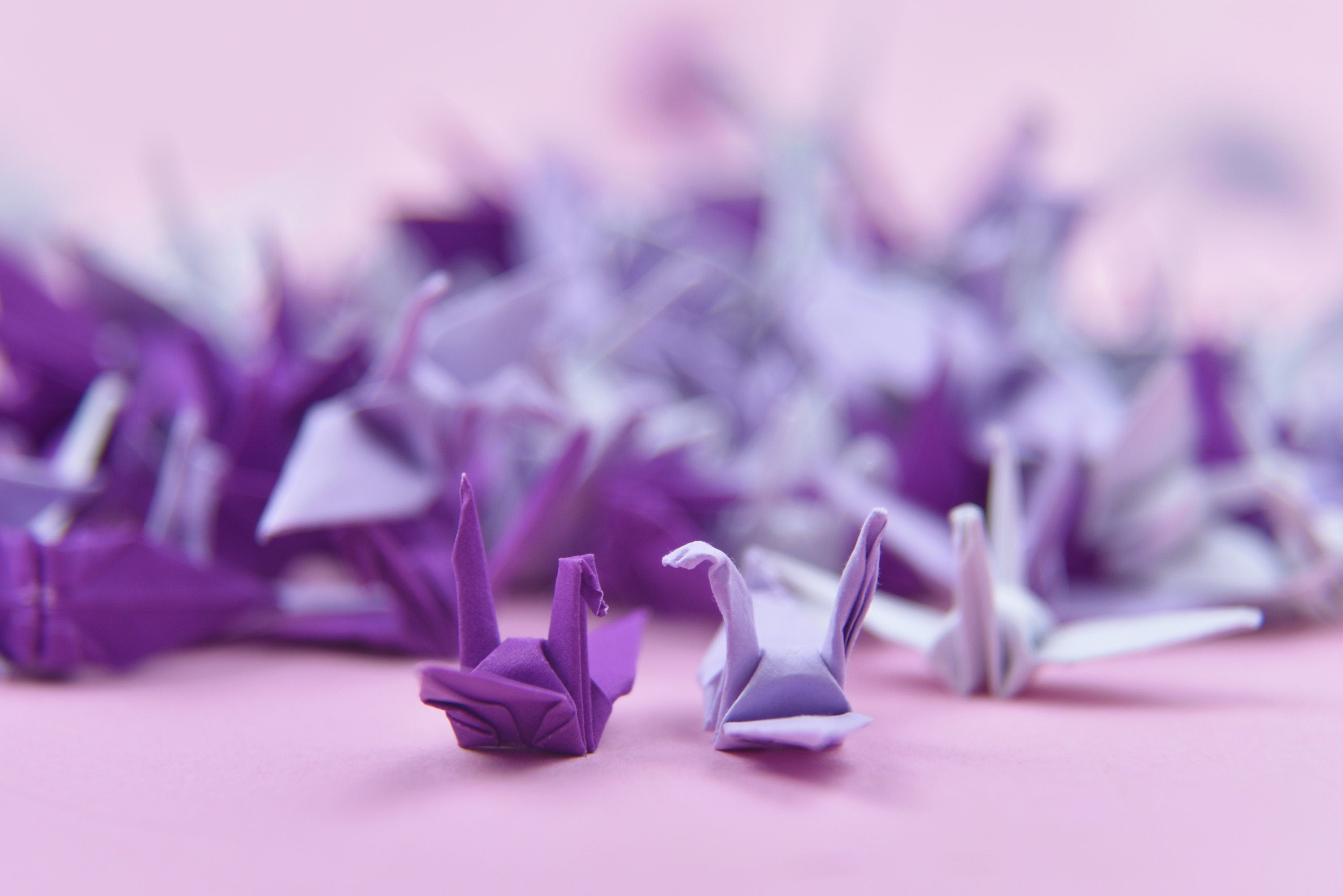 100 Origami Paper Crane Purple Shade - Origami Cranes - Prefabricado - Pequeño 1.5x1.5 pulgadas para decoración de bodas, regalo de aniversario, San Valentín
