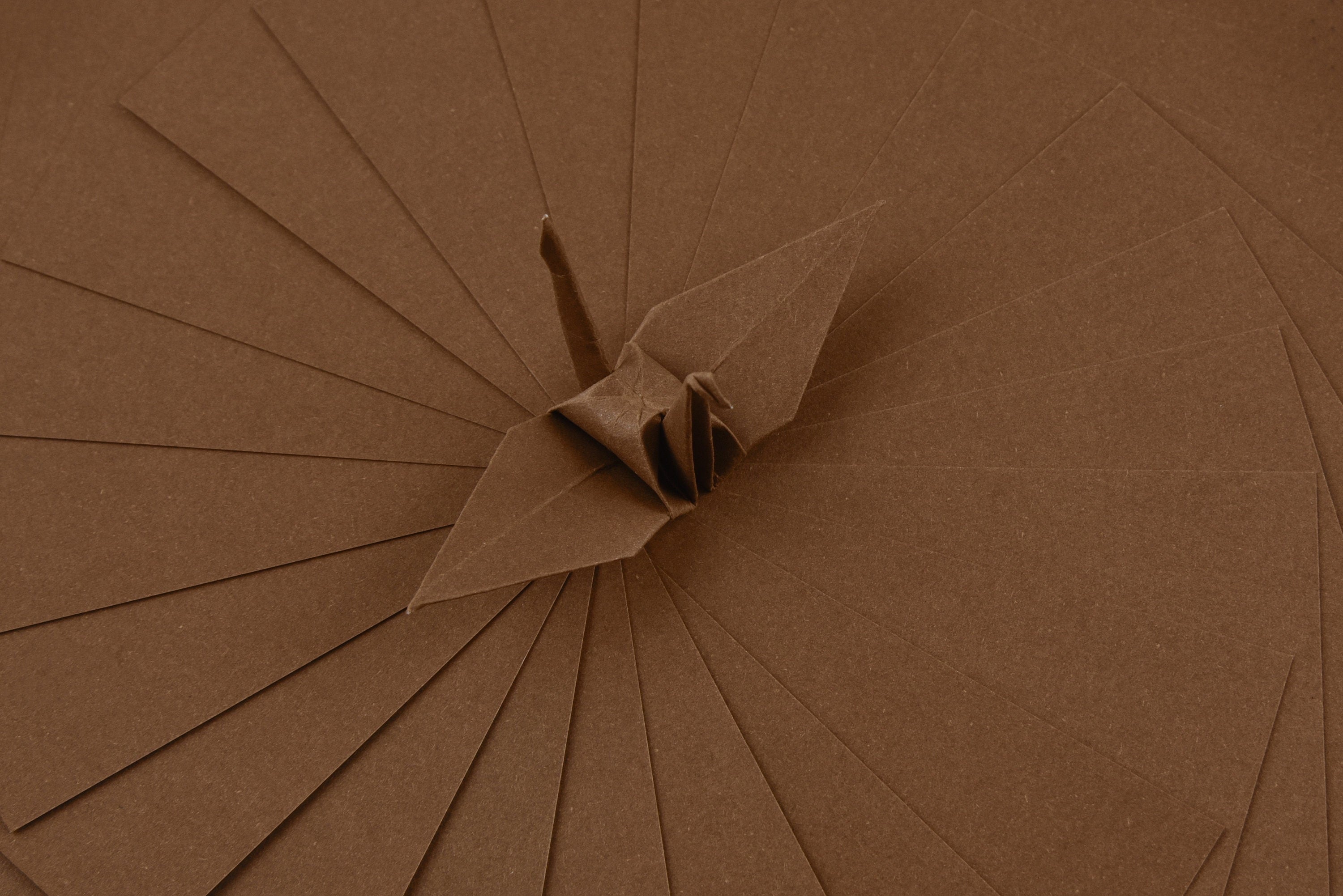 100 fogli di carta origami marrone - 6x6 pollici - Confezione di carta quadrata per piegare, gru origami e decorazioni - S07