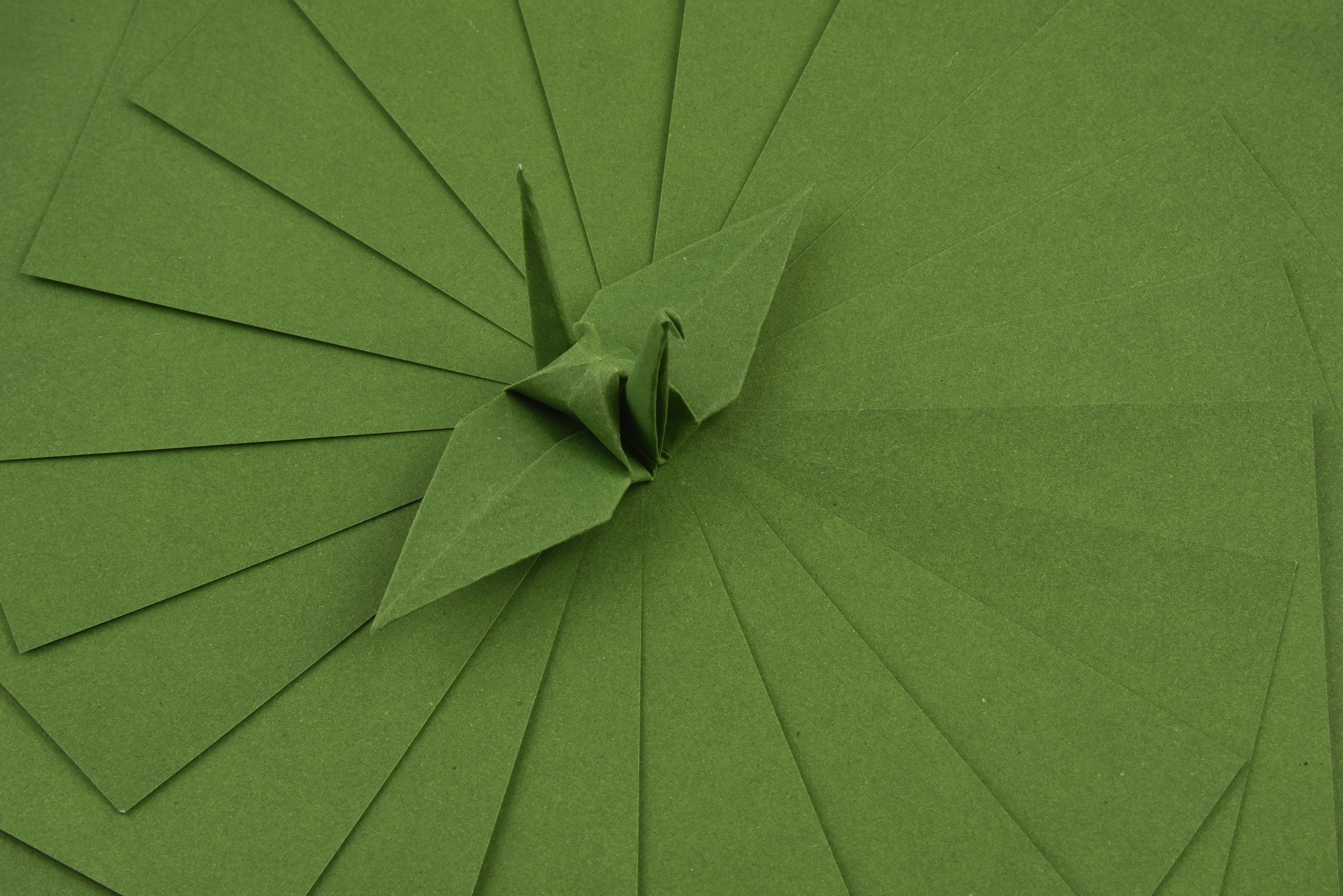 100 Hojas de Papel Origami - 6x6 pulgadas - Paquete de Papel Cuadrado para Plegar, Grullas de Origami y Decoración - S23
