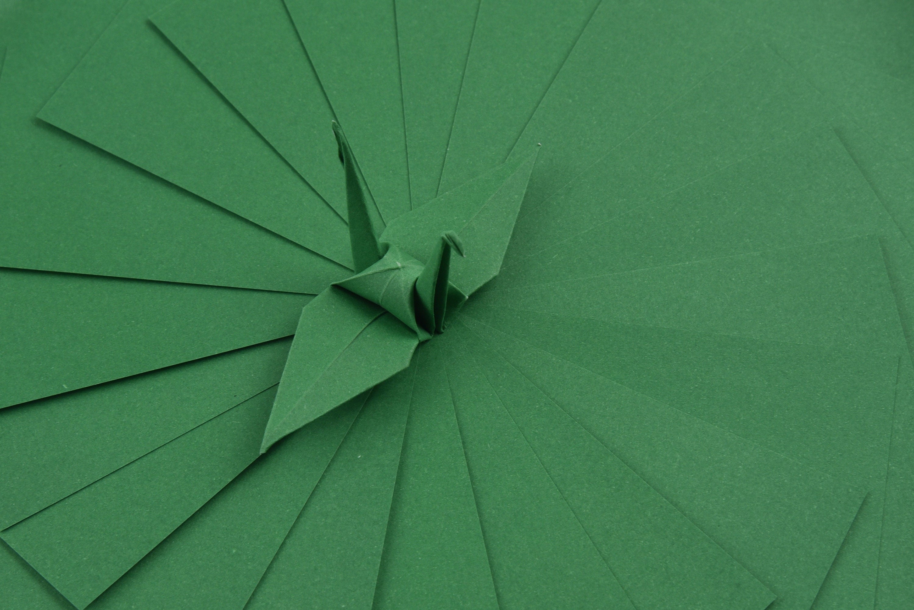 100 fogli di carta verde per origami - 6 x 6 pollici - confezione di carta quadrata per piegare, gru origami e decorazioni - S24