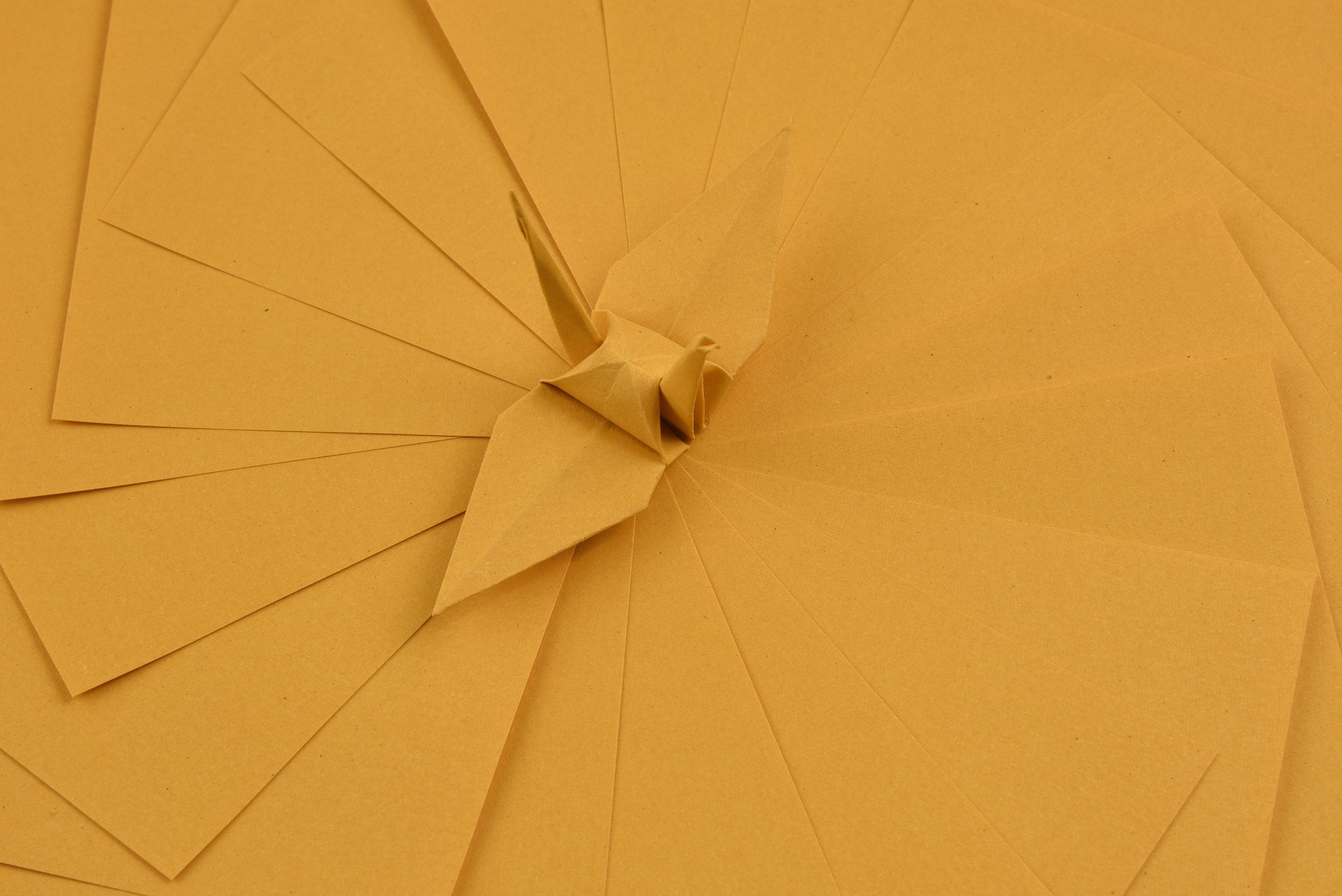 100 fogli di carta origami - 3x3 pollici - Confezione di carta quadrata per piegare, gru origami e decorazioni - S27