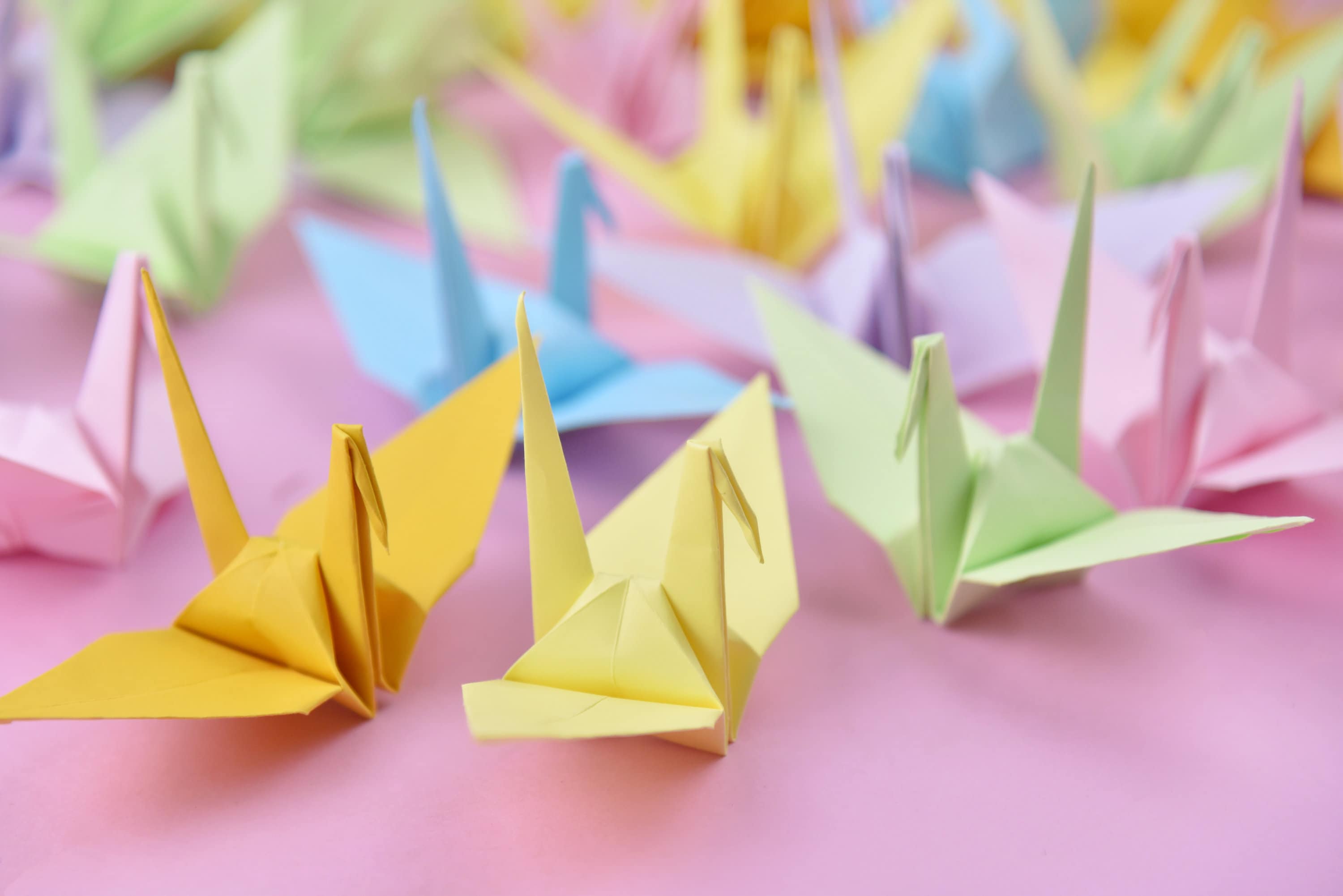 50 Origami Paper Cranes Mixed color Sweet color Large 6 inches Bird Origami Crane 15 cm 6 inches for Japanese Wedding gift