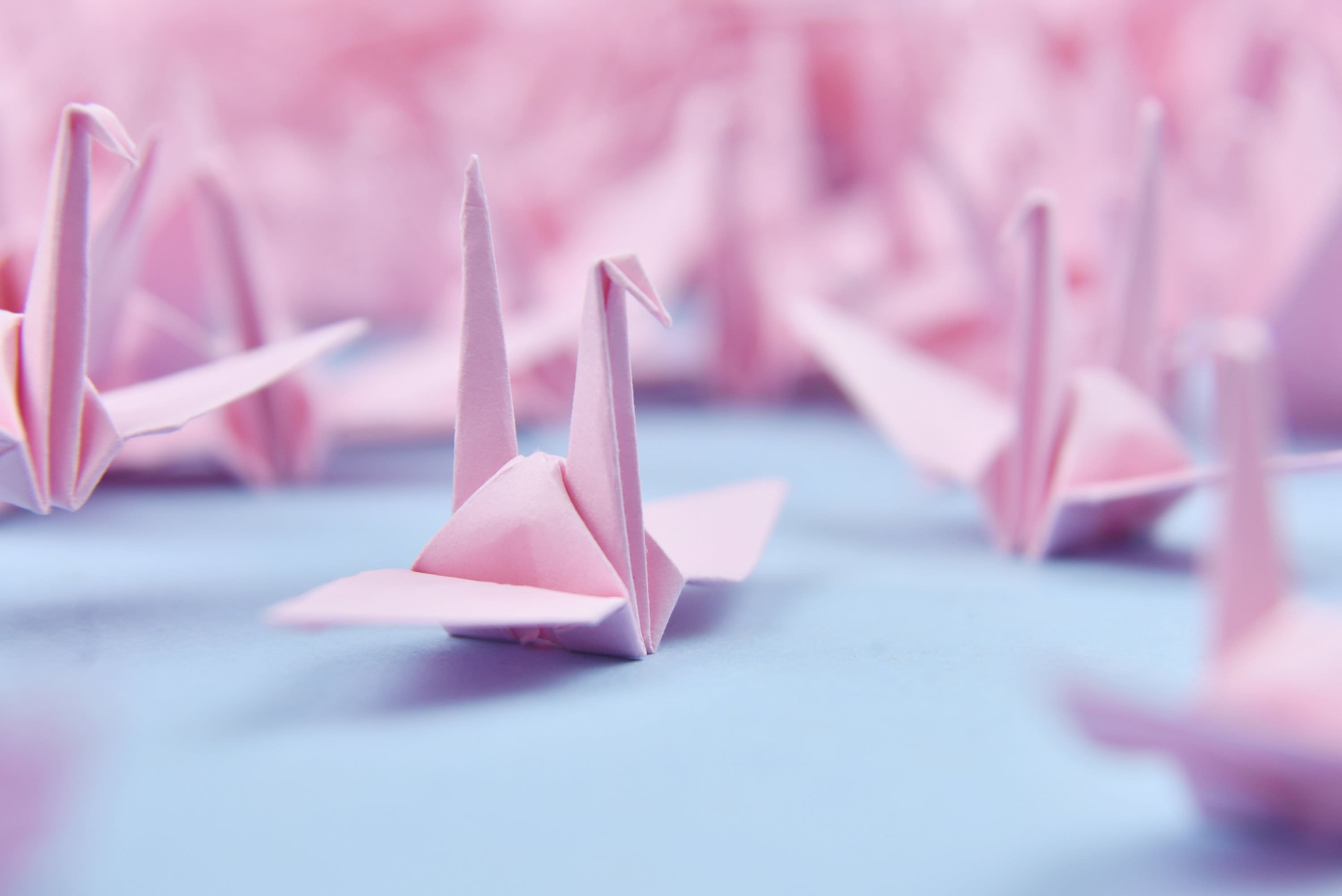 Gru origami con 1000 sfumature di rosa - Realizzata in 7,5 cm (3x3 pollici) - per matrimonio, regalo di San Valentino, Natale