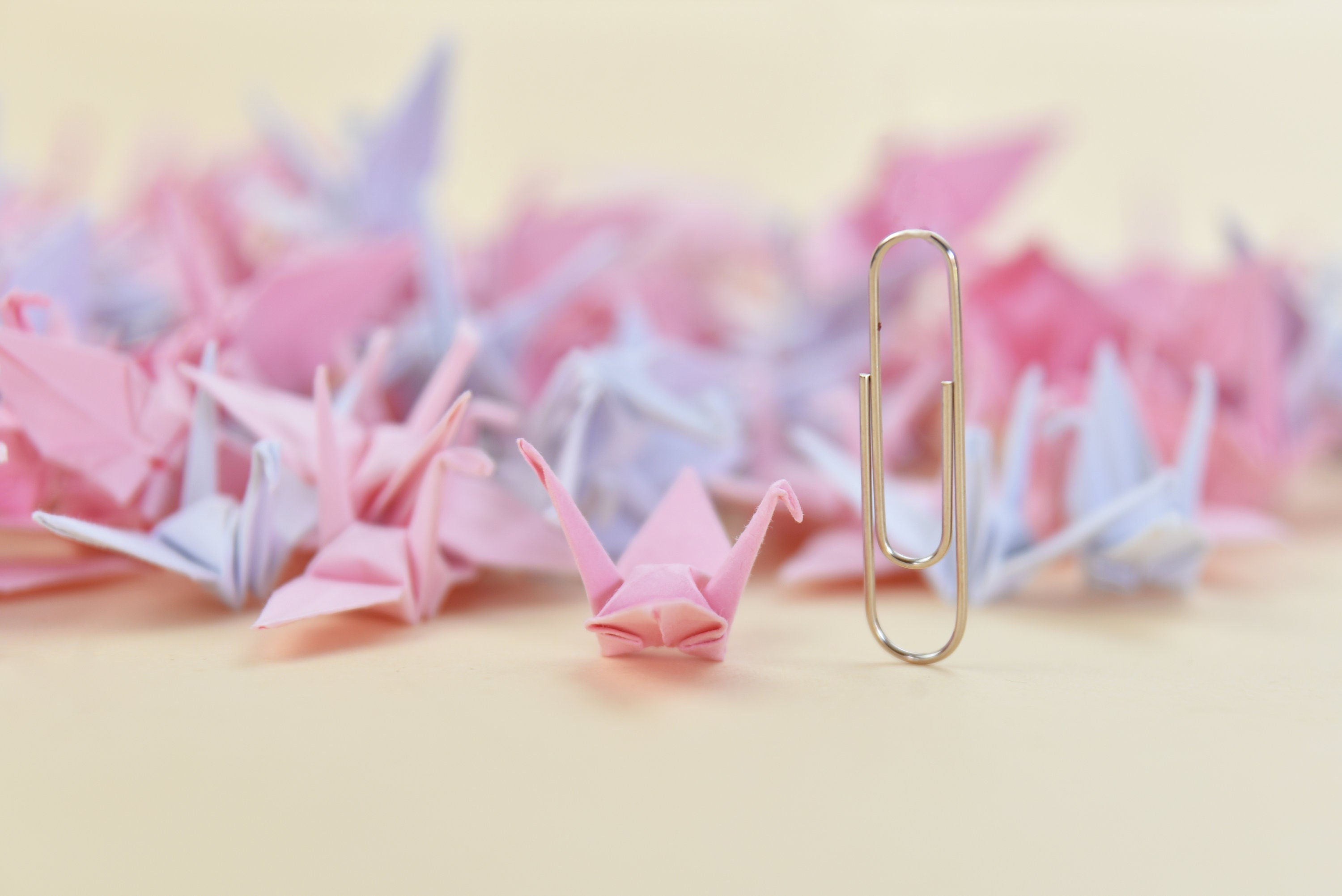 1000 grullas de origami de color rosa - 1,5 pulgadas - plegables hechas a mano para bodas, día de San Valentín por OrigamiPolly
