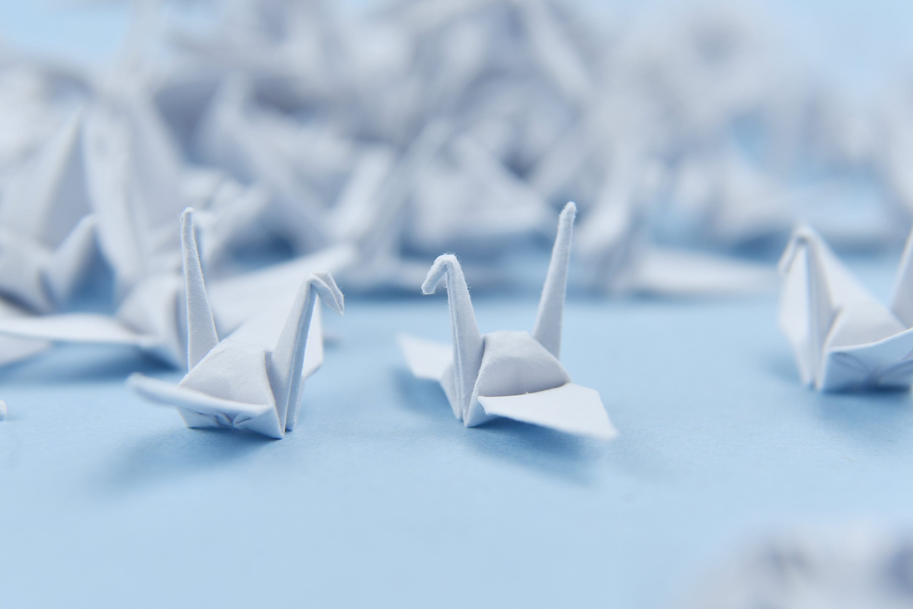 1000 Grullas de papel de origami blanco - Pájaro pequeño - 1.5x1.5 pulgadas - Regalo de decoraciones de boda por OrigamiPolly
