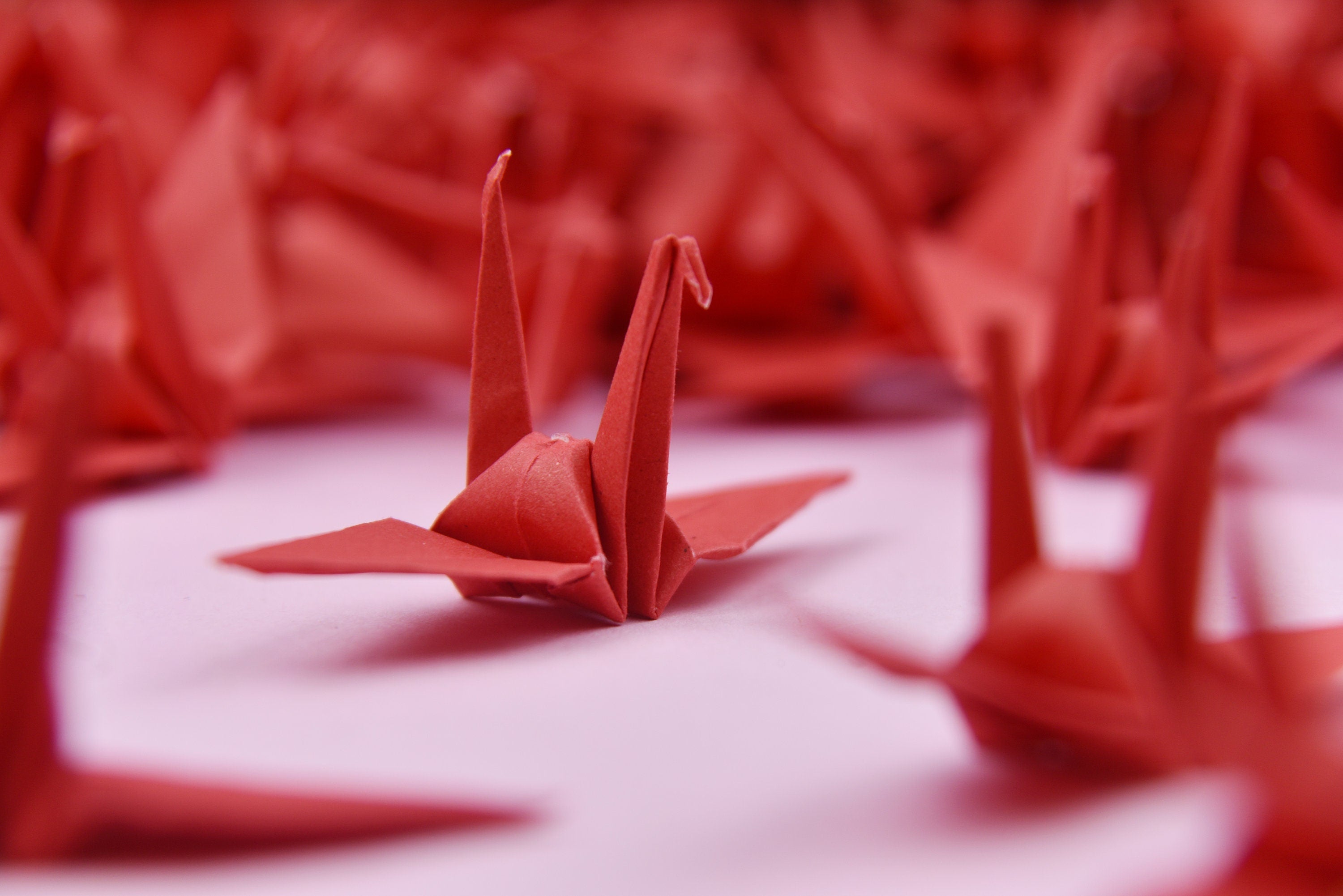 1000 Grúas de papel Origami - Rojo - 3x3 pulgadas - Plegable hecho a mano para decoración de bodas, Boda japonesa, San Valentín