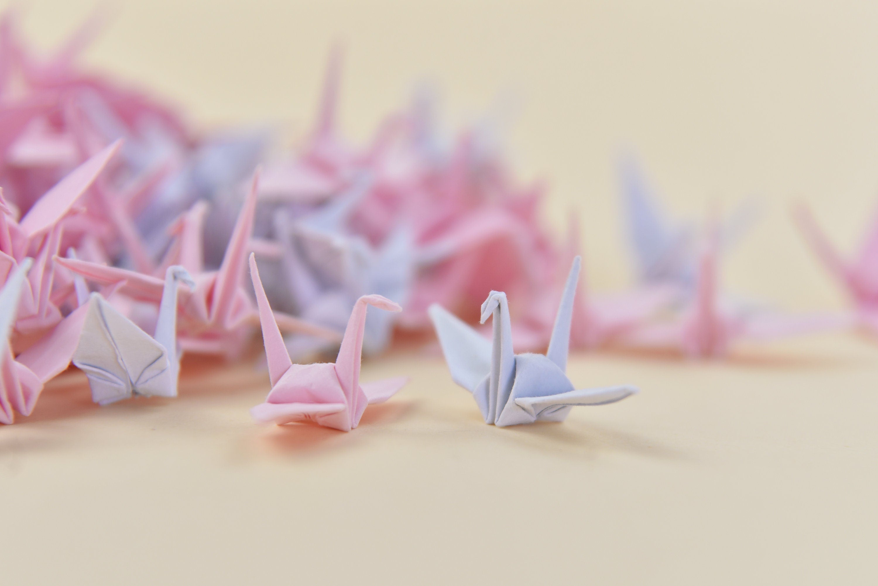 1000 Pink Shade Origami Cranes 1.5 inch Handmade Folding for Wedding, Valentine's Day by OrigamiPolly