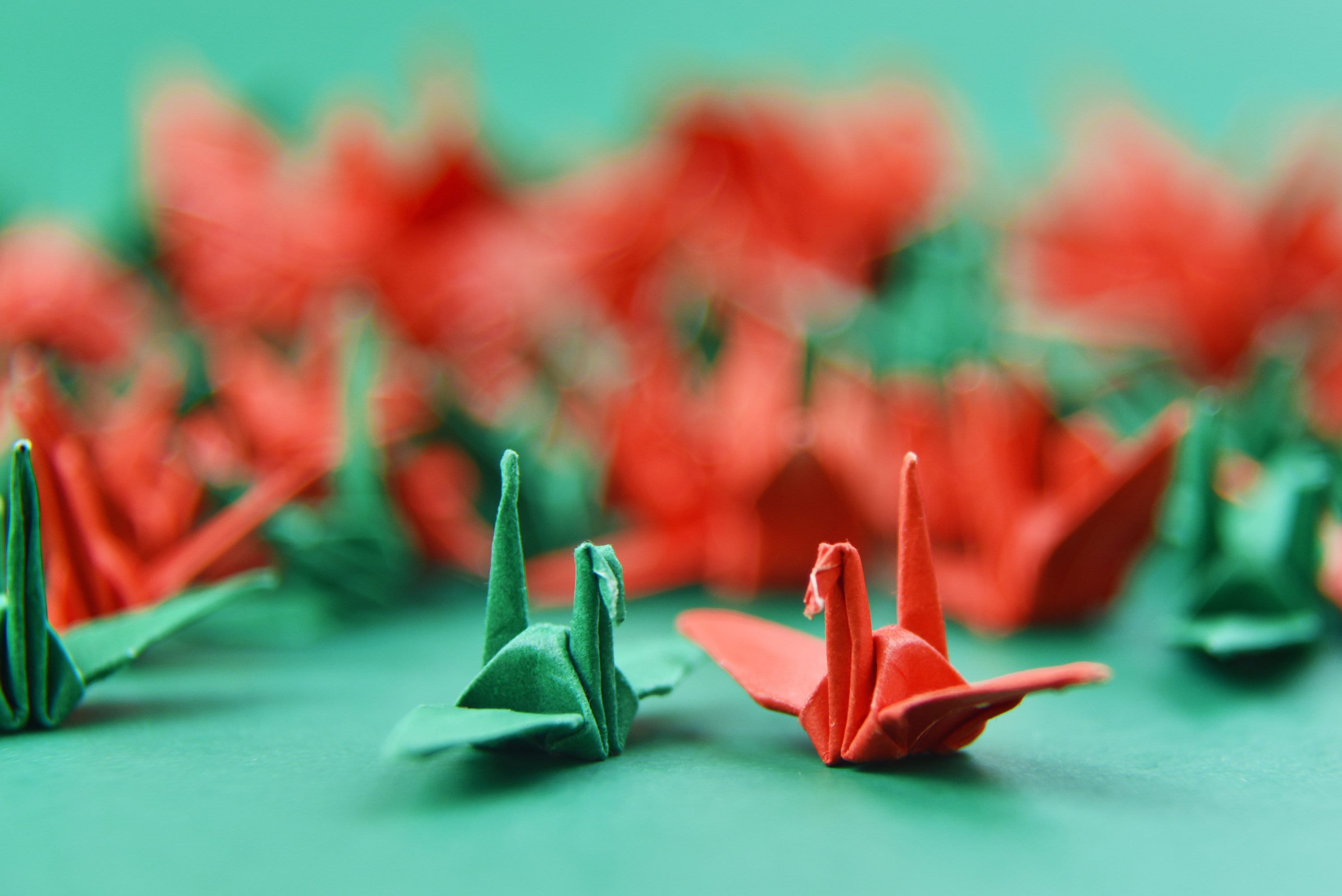 1000 gru di carta origami natalizie - 3,81 cm (1,5 pollici) - per decorazioni di nozze, regalo di anniversario di OrigamiPolly